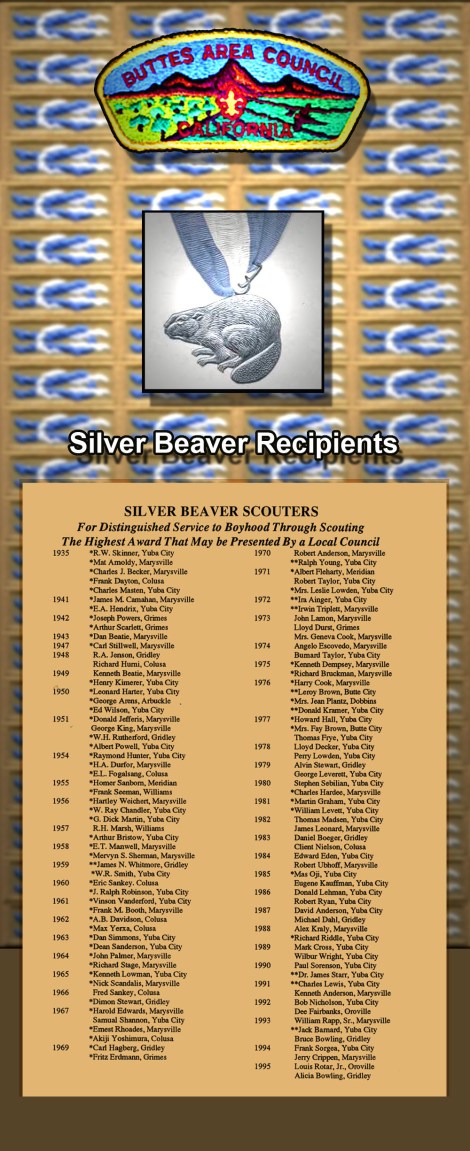 silver beaver5